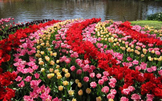 968642 (a): :2560x1600